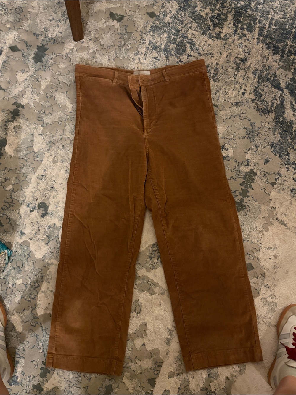 Everlane Women's Brown Corduroy Wide-Leg Pants
